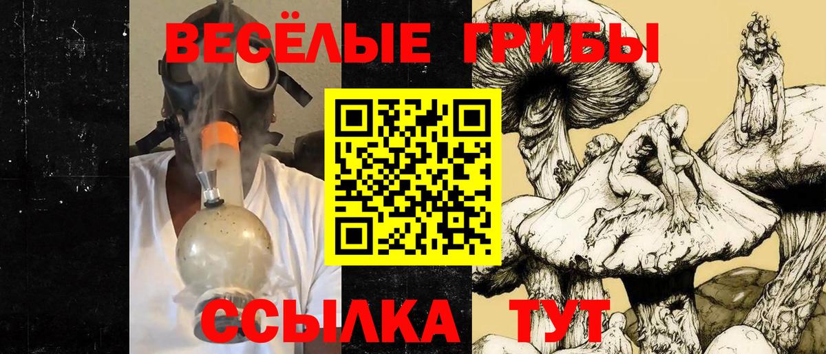 Строитель  Псилоцибиновые грибы Cubensis  Псилоцибиновые грибы мицелий  Вход с VPN 