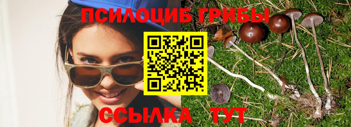 Галлюциногенные грибы мицелий Строитель